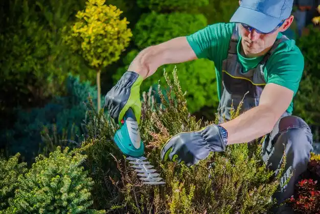 landscaping services Waterford